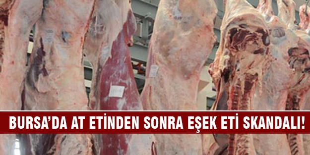 Bursa'da at etinden sonra şimdi de eşek eti skandalı!