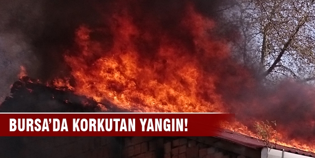 Bursa'da korkutan yangın!