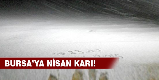 Bursa'da Nisan karı