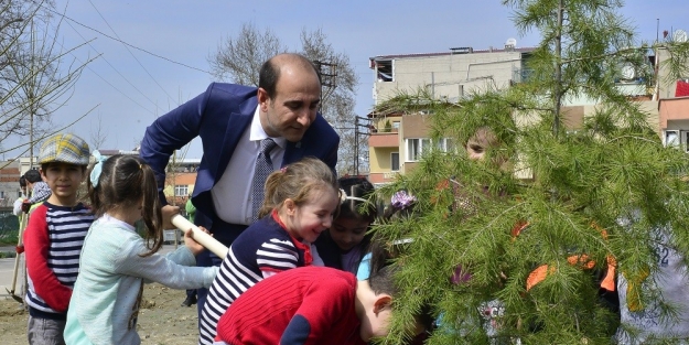 Yeşil Yıldırım’a adım adım