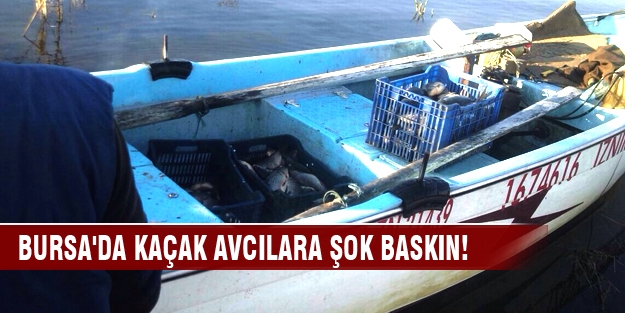 Bursa'da kaçak avcılara şok baskın!