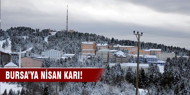 Uludağ'a 15 santimetre kar yağdı