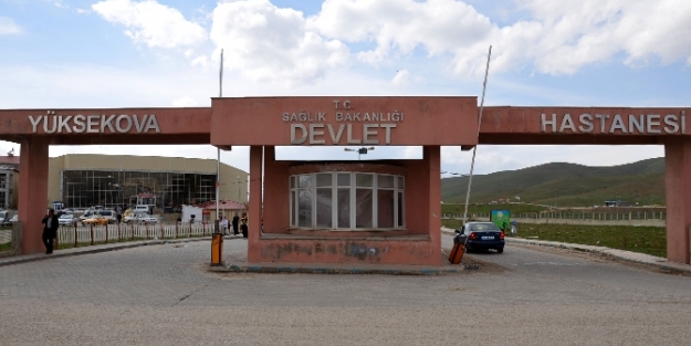 Hakkari’de ’domuz gribi’ şüphesi