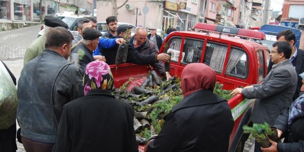Orman işletmesinden bedava fidan