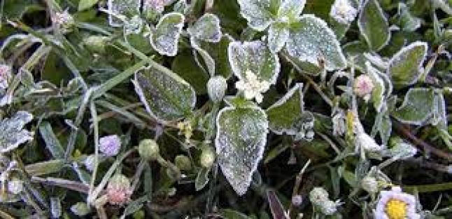 Meteoroloji'den bir uyarı daha!