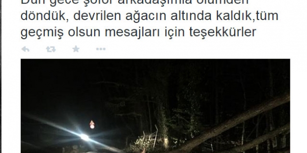 Balçiçek İlter ölümden döndü