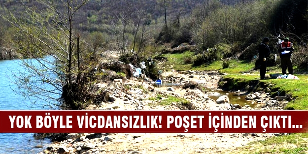 Yok böyle vicdansızlık! Poşet içinden çıktı...