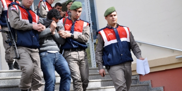 Ev sahibini vuran güvercin hırsızları yakalandı