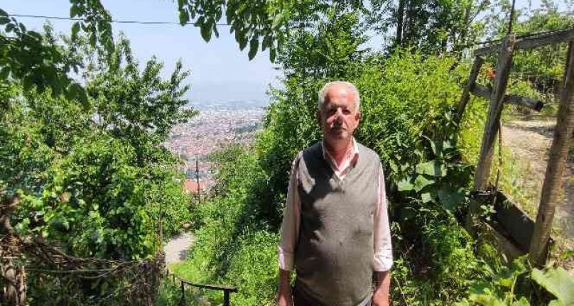 Bursa'da mahalleli ayılarla arkadaş oldu