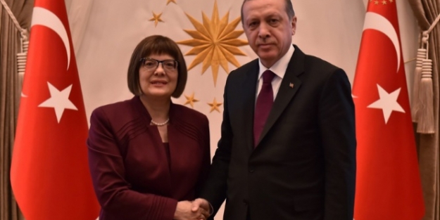 Erdoğan, Gojkoviç’i kabul etti