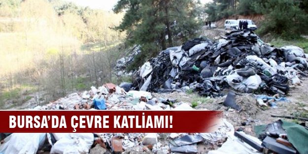 Bursa'da çevre katliamı!