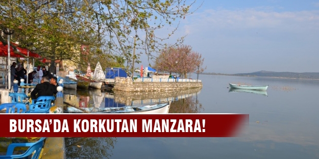 Uluabat gölü balıksız kaldı