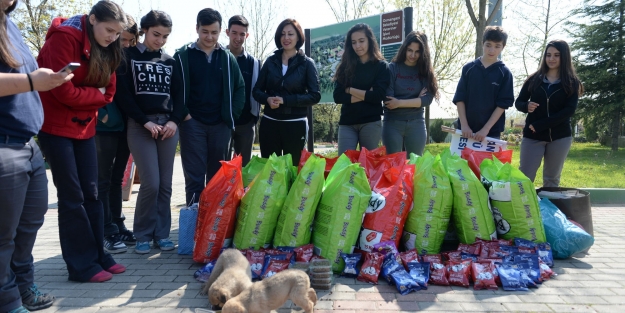 Harçlıklarını can dostları için harcadılar