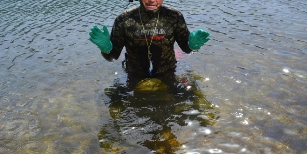 Barış için Van Gölü’nü yüzerek geçti