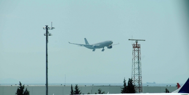 Atatürk Havalimanı'nda köpek paniği