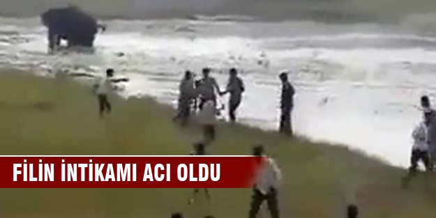 Filin intikamı acı oldu