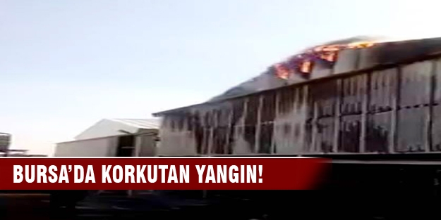 Bursa'da tavuk çiftliğinde korkutan yangın