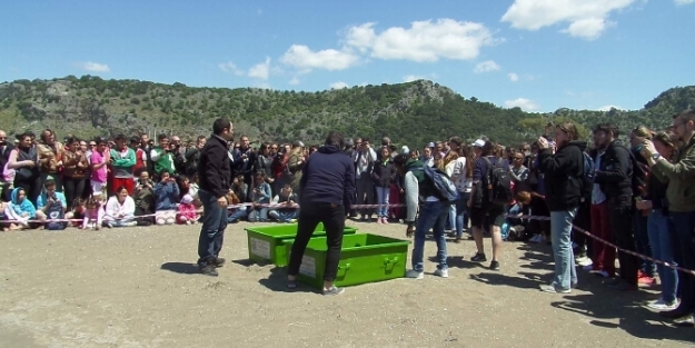 Deniz kaplumbağaları törenle uğurlandı