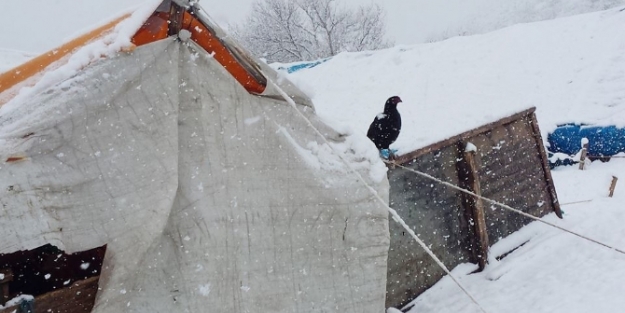 Yaylacılar kar mağduru