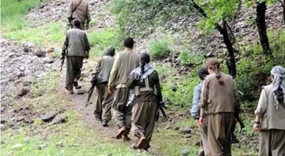 İkii PKK'lı teslim oldu