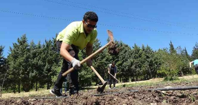 3 bin kilometre uzaktan doğru tarım için Bursa'ya geldiler