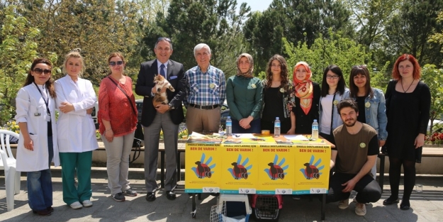 Sakat hayvanlar için seferberlik