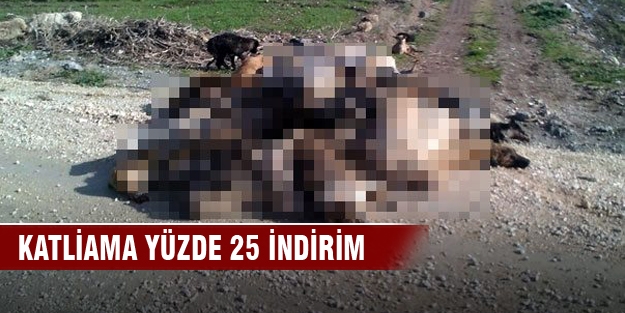 Bursa'daki köpek katliamına yüzde 25 indirim gündemde!