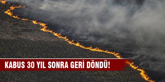 Çernobil kabusu 30 yıl sonra geri döndü