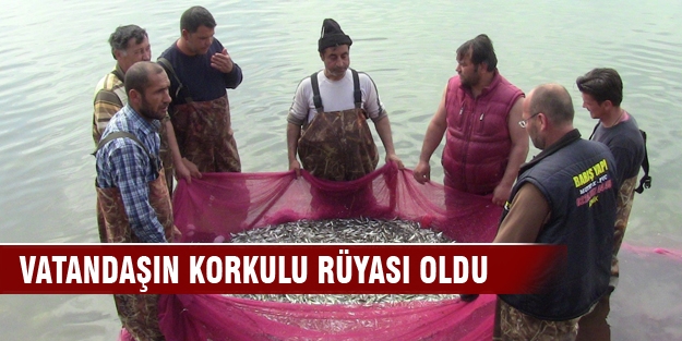 İznik gölünün minik canavarları