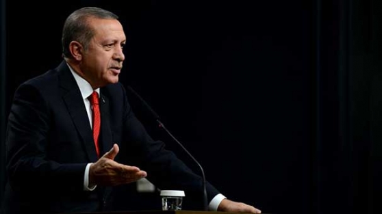 Erdoğan o yazarı kınadı