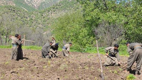 Bu fotoğrafı gören şaştı kaldı!
