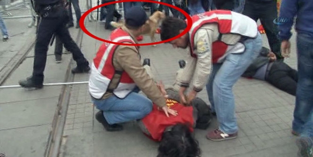 1 Mayıs'a damgasını vuran 'köpek