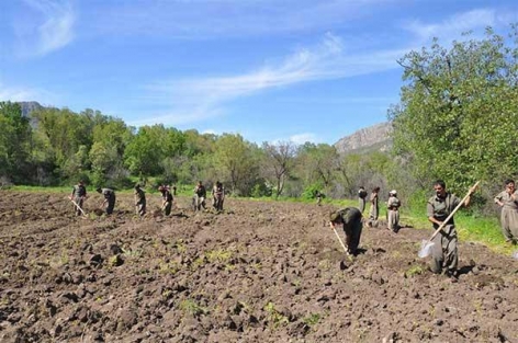 PKK'lıların bu görüntüleri çok şaşırttı!