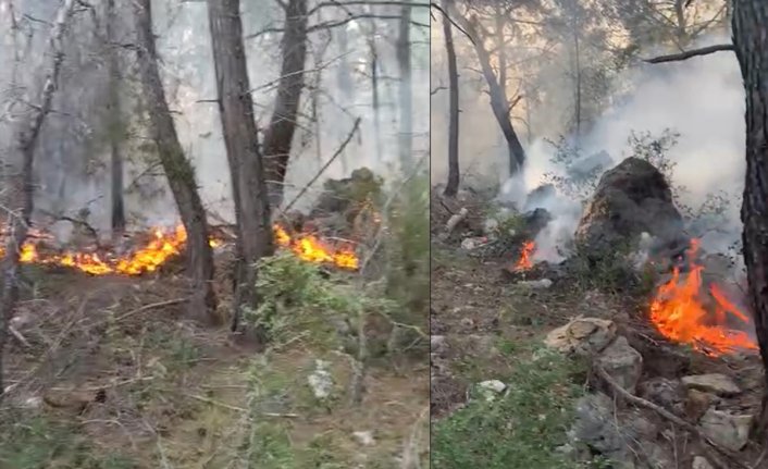 Alanya'da orman yangınında 5 dönüm alan zarar gördü