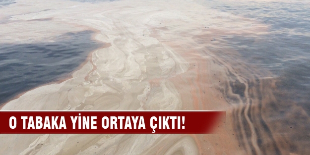 Kahverengi tabaka bu kez Yalova açıklarında