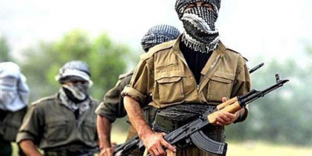 2 PKK’lı daha teslim oldu