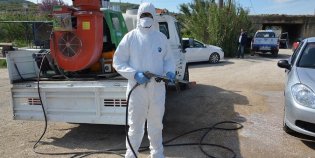 Kuş gribi karantinası sürüyor