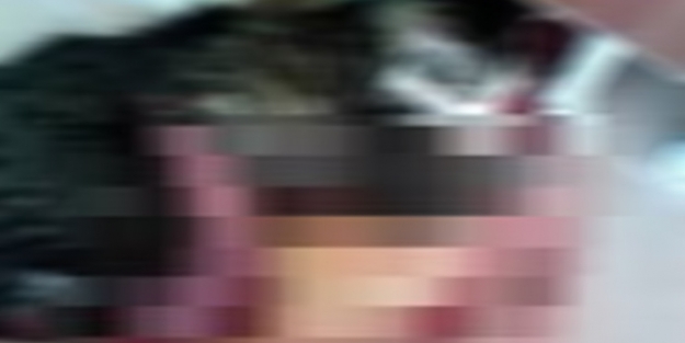 Kediye işkence davası başladı