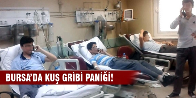 Tavuk döner zehirledi, kuş gribi sanıldı