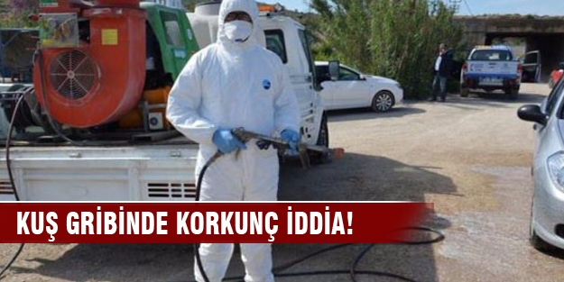 Kuş gribinde korkunç iddia!