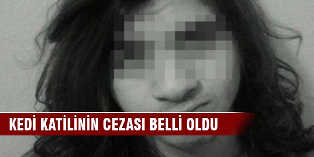 Kedi işkencecisinin cezası belli oldu