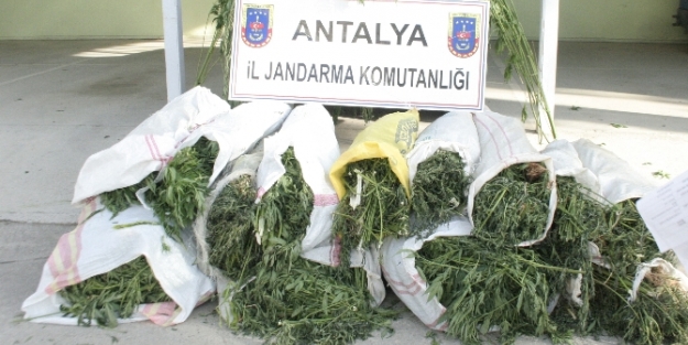 Tam 1 milyon TL değerinde