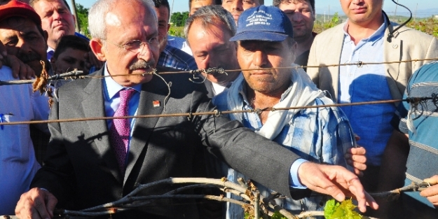 ’’Donan üzüm bağlarını’’ inceledi