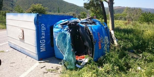 Ağaca vurarak durabildi...