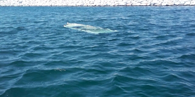 İstanbul’da tekne battı: 1 kişi kayıp