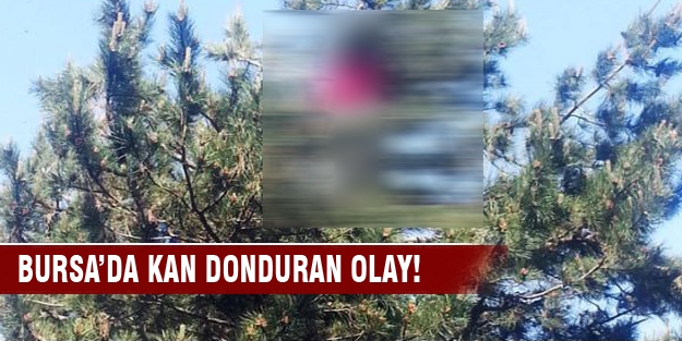 Bursa'da ormanlık alanda ceset kurtarma operasyonu