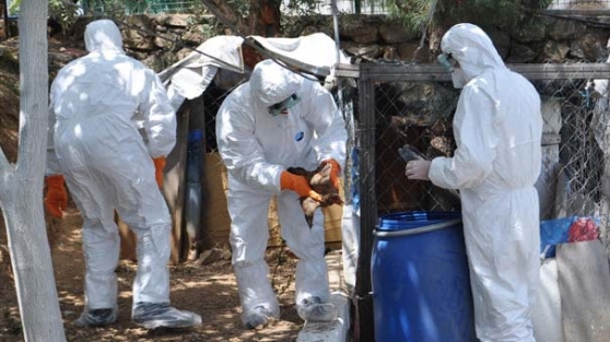 İzmir'deki korkutan gelişme!