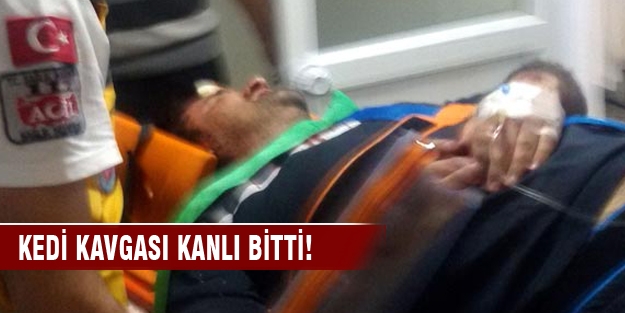 Akrabalar arasında kedi kavgası: 4 yaralı