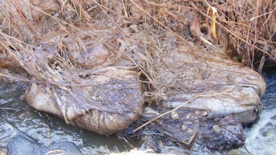 Marmara'ya ölümcül darbe!