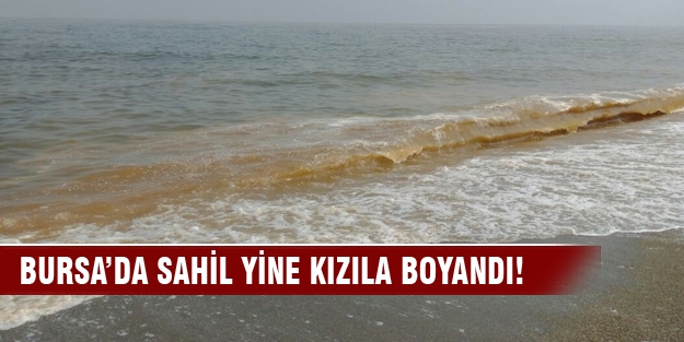 Bu sefer Karacabey sahili kızıla boyandı